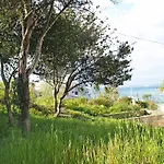 Apartman Roses