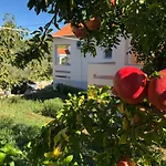 Roses Apartman