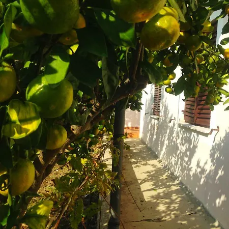 Apartman Roses Lukoran