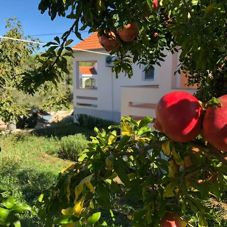 Roses Apartament