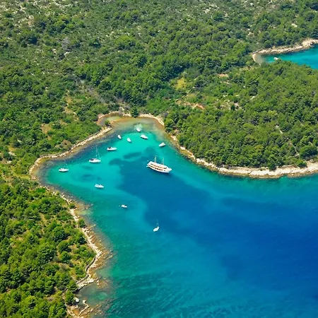 Διαμέρισμα Roses *