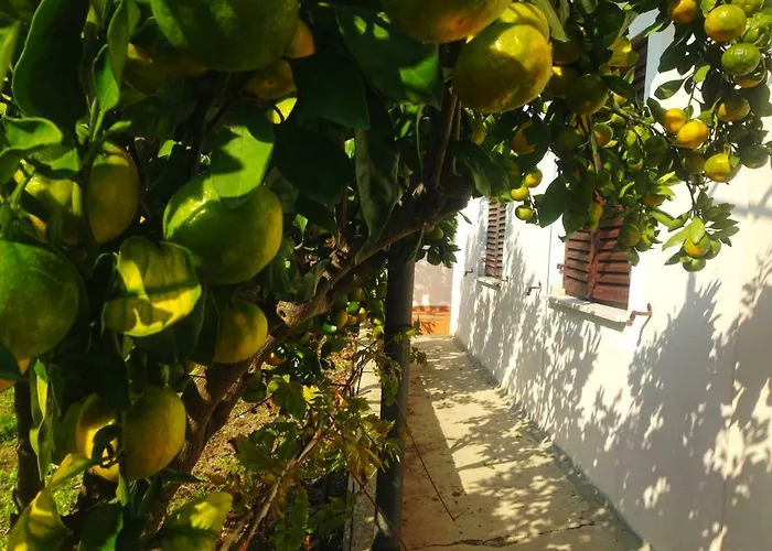 شقة Roses Lukoran