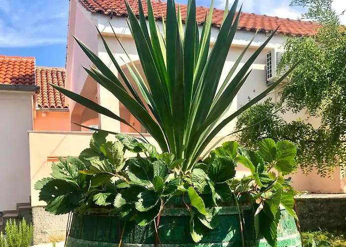 Apartmán Roses Lukoran