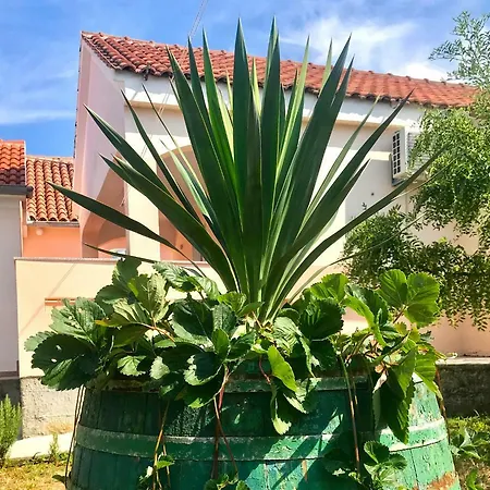 Apartamento Roses Lukoran